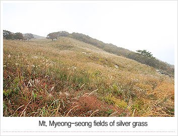 한화호텔리조트&산정호수안시전경
