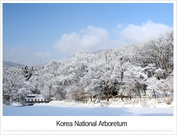 국립수목원12월
